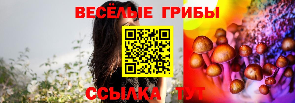 Галлюциногенные грибы Psilocybine cubensis Орёл